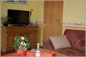 SAT-TV und HIFI-Anlage